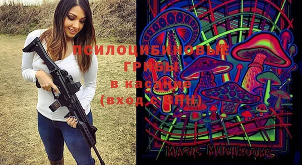 мяу мяу мука Баксан