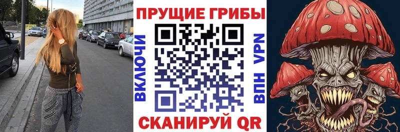 Галлюциногенные грибы Psilocybine cubensis Луховицы
